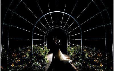 Help! I need to choose a Wedding Photographer!