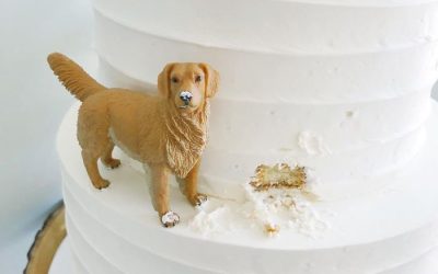 Having your pet at your wedding