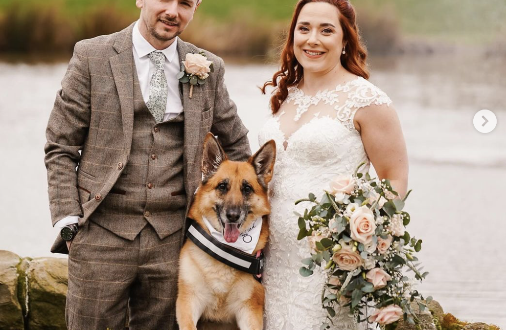 Advice for including your dog on your wedding day